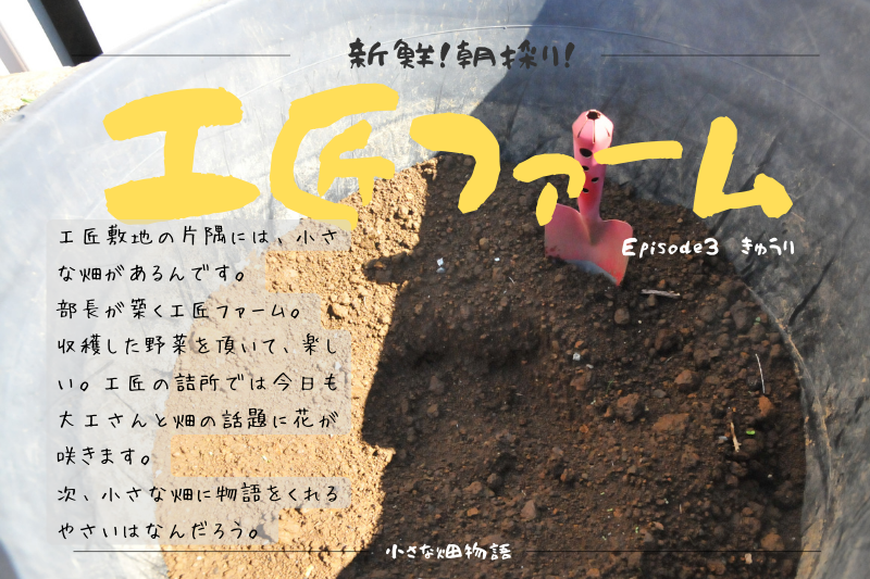 工匠ファーム　Episode 3『きゅうり』