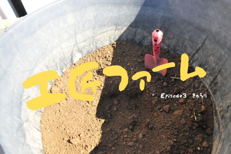 工匠ファーム　Episode 3『きゅうり』