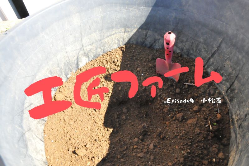 工匠ファーム Episode 4『小松菜』
