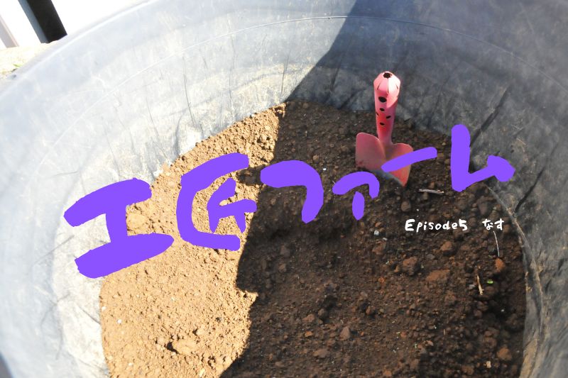工匠ファーム　Episode 5『なす』